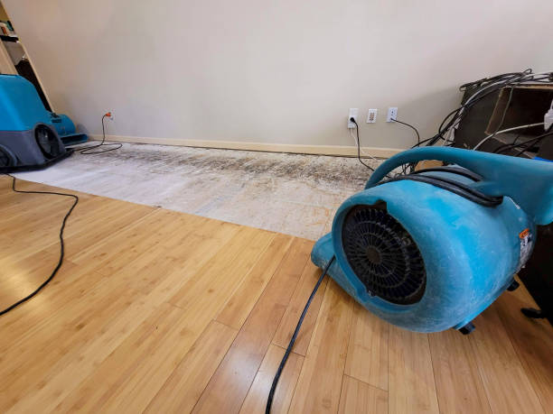 Professional Water Damage Repair technician working in Wainscott, NY